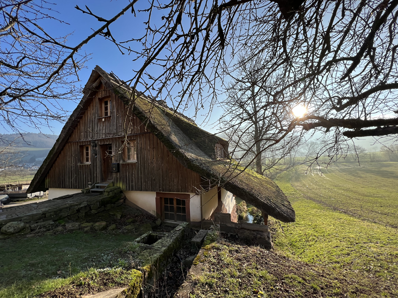 Wander- und Wellnessurlaub im Schwarzwald: Buche dein Traum-Ferienhaus bei gruppenhaus.ch