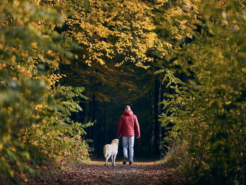 Wandern im Schwarzwald