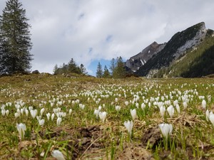 Naturfreundehaus Tannhütte Lage Frühling