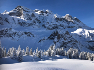 Alphütte Chrüzhütte Umschwung