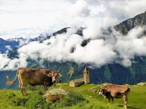 Alpe San Romerio Aussicht Sommer