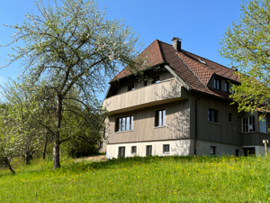 Ferienhäuser LUG INS TAL Hausansicht