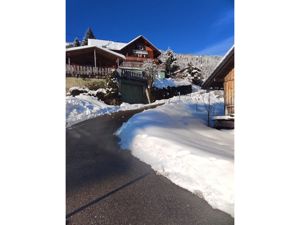 the access road in winter