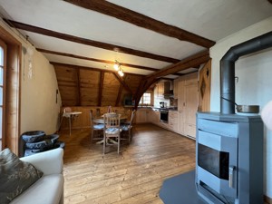 le salon et la salle à manger ouverts avec cheminée