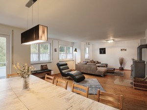 the open-plan living and dining area with fireplace