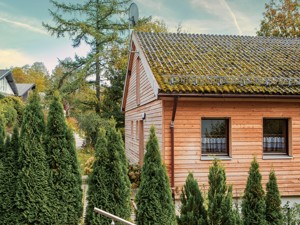 Ferienhaus Horst Hausansicht Sommer