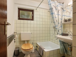 Ferienhaus Horst Badezimmer