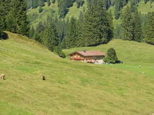 Ferienhaus Anger - Steinbockhütte Lage Sommer