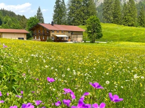 Ferienhaus Anger - Steinbockhütte Hausansicht Sommer