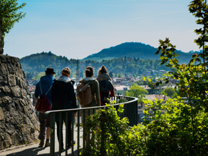 Youth Hostel Freiburg International Location