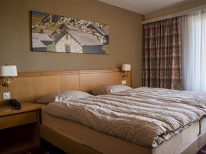 Hotel Alpine Classic*** Doppelzimmer