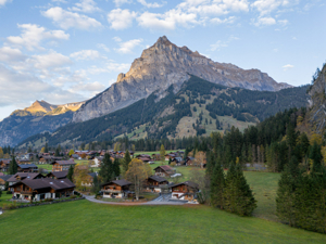 Chalet Montanja Situation