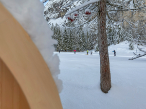 la piste de ski de fond près de la maison