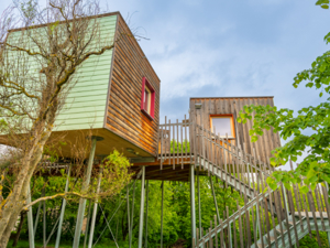 Cabane dans les arbres