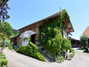 Seminar- und Gästehaus Waldhaus Hausansicht Sommer