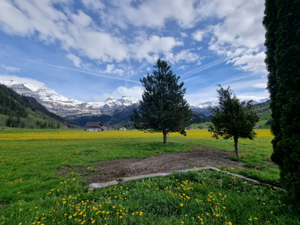 Guest House Burgbühler Guesthouse Aussicht