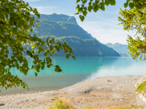 Youth Hostel Brienz Surroundings