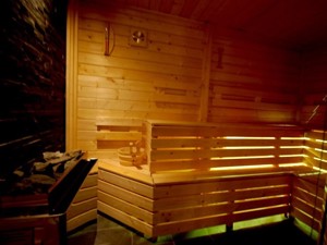 Chalet Teamlodge Sauna