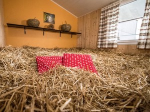 Sleeping on straw