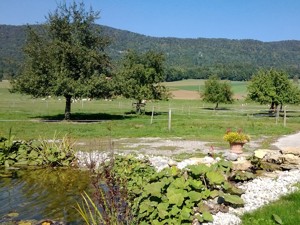 Bauernhaus Gîte rural de Courcelon Garten