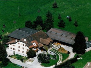 Bauernhaus Gîte rural de Courcelon Hausansicht Sommer