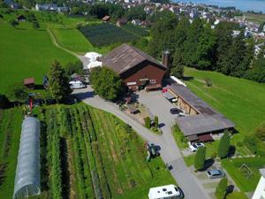 Farm Lützelhof House view summer