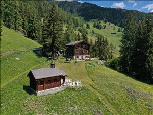 Maison de vacances Ze Patra Vue de la maison été