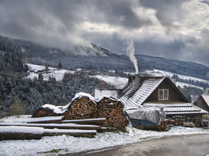 Der Schwarzwald im Sommer und Winter